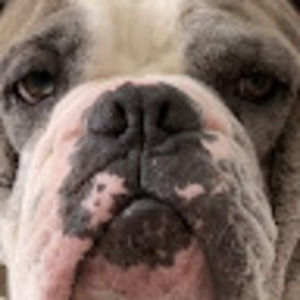 Meet your Posher, Cole